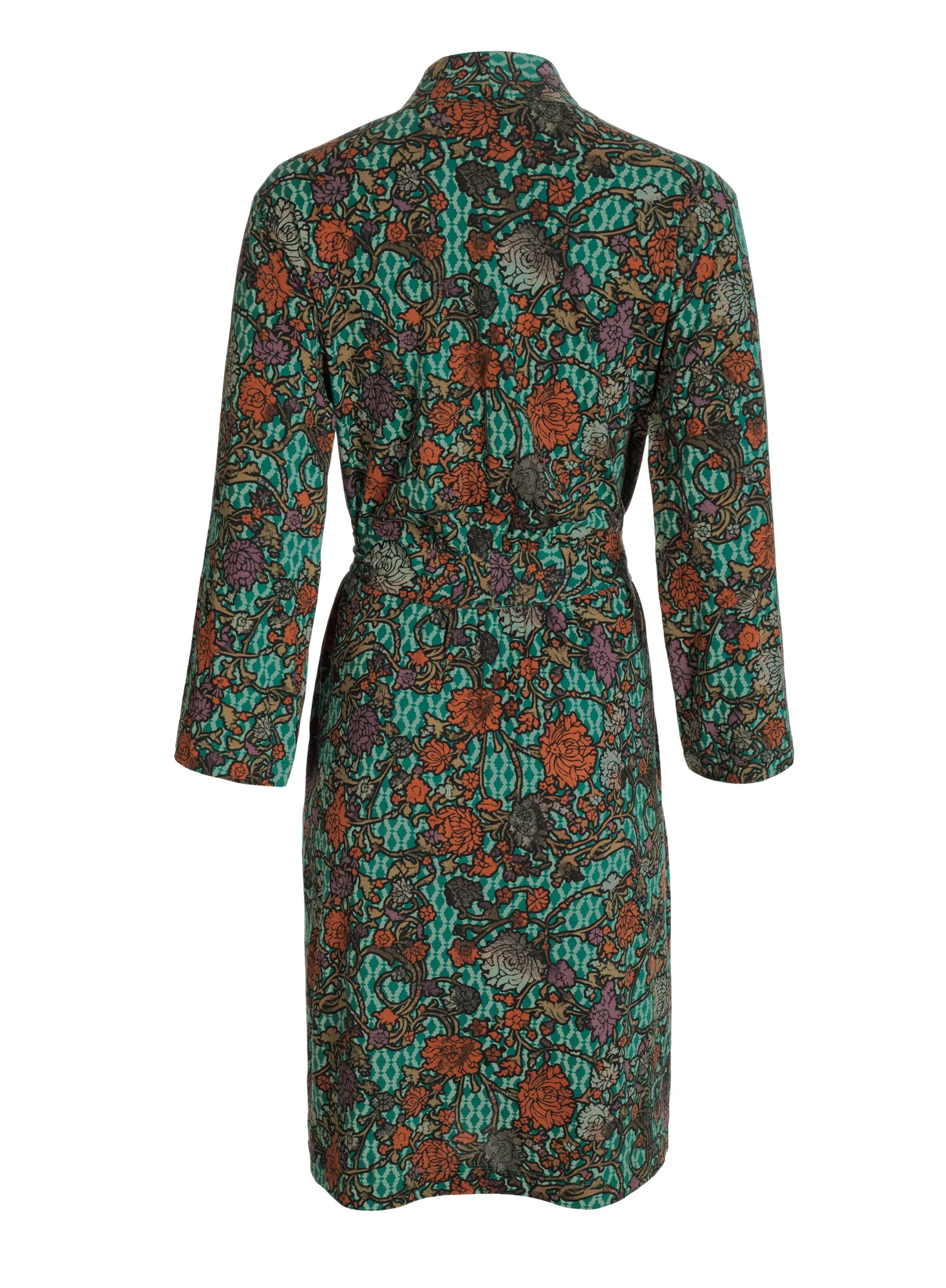 Art Nouveau Robe - Image 4