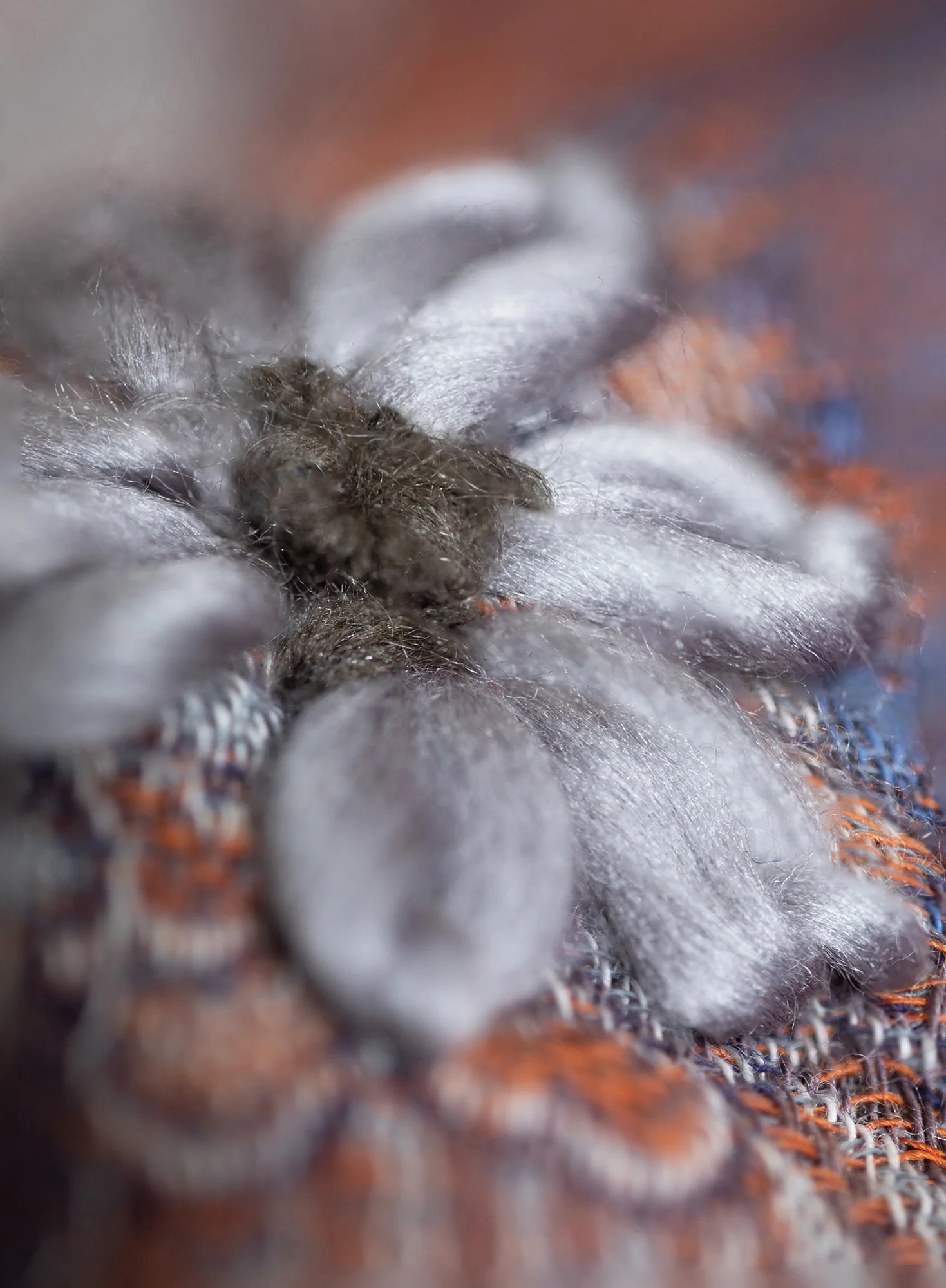 Brisa Embroidered Shawl - Image 3