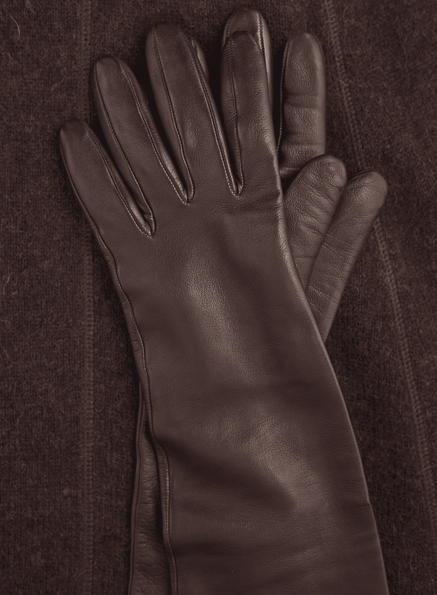 Long Leather Gloves