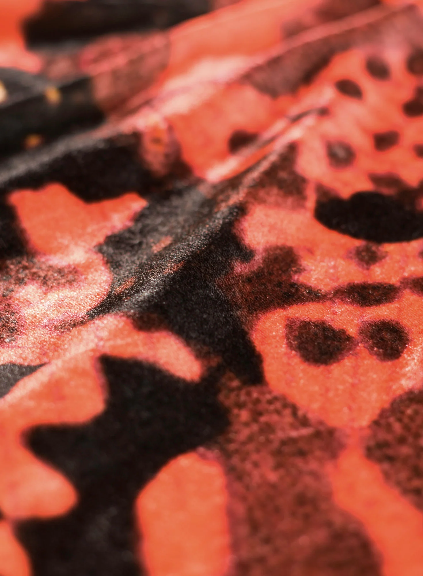 Mariposa Velvet Dress - Image 3