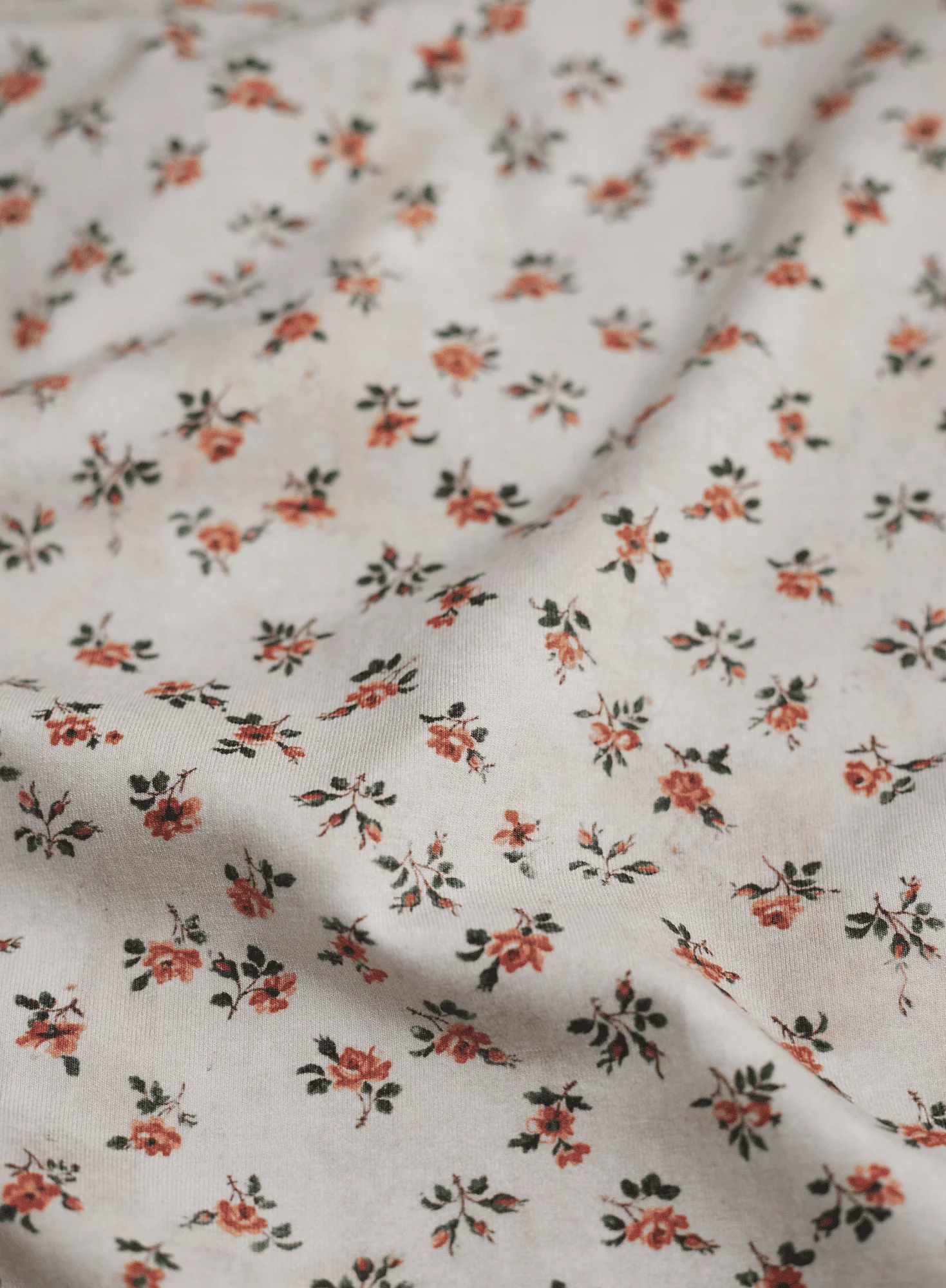 Petite Rose Henley - Image 3